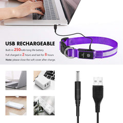 MASBRILL Light Up Dog Collar purple LED modes offer flexible visibility options