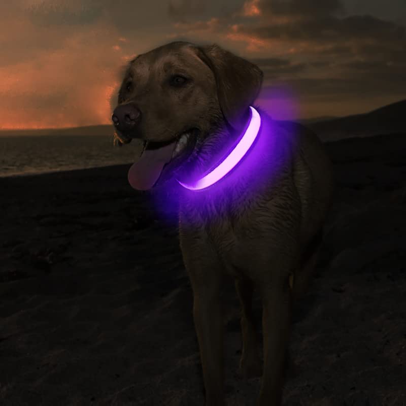 MASBRILL Light Up Dog Collar purple side view improves detection during evening strolls