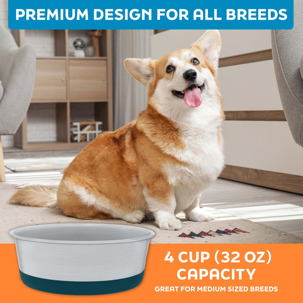Master Pet Supply emerald sea bowls gift-ready and vibrant