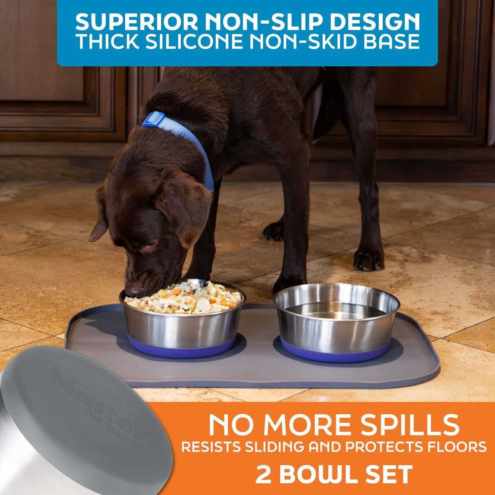 Bowls on kitchen floor show stable, quiet feeding with silicone base