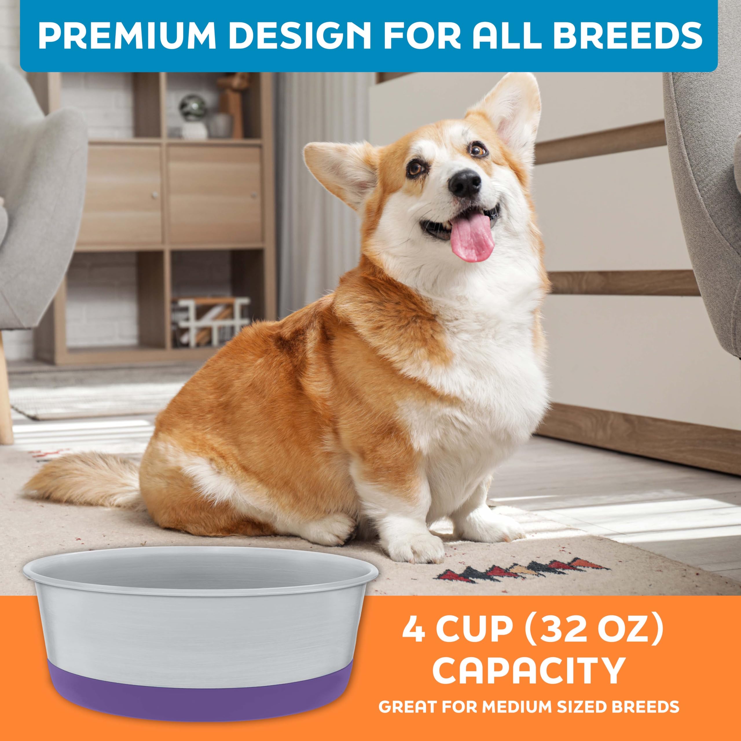 Master Pet Supply indoor-outdoor use makes them versatile for pets.