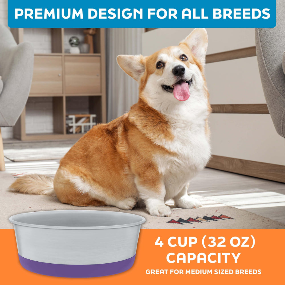 Master Pet Supply indoor-outdoor use makes them versatile for pets.