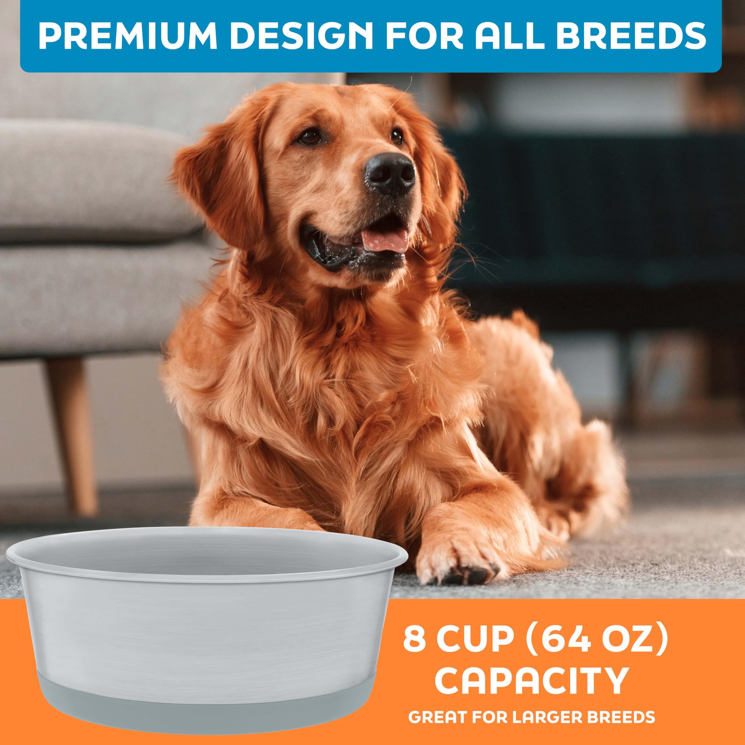 Durable metal bowls by Master Pet Supply for daily pet meals
