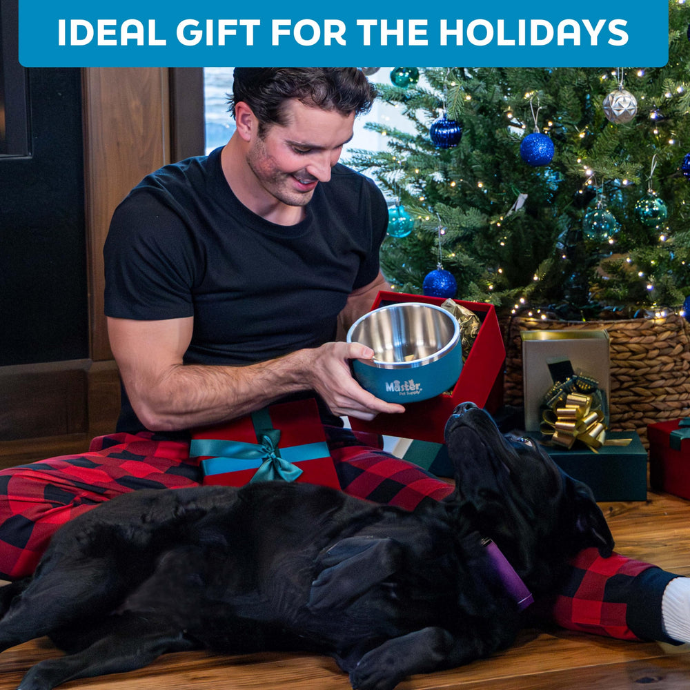 Master Pet Supply durable pet dish suitable for dogs and cats during meals.