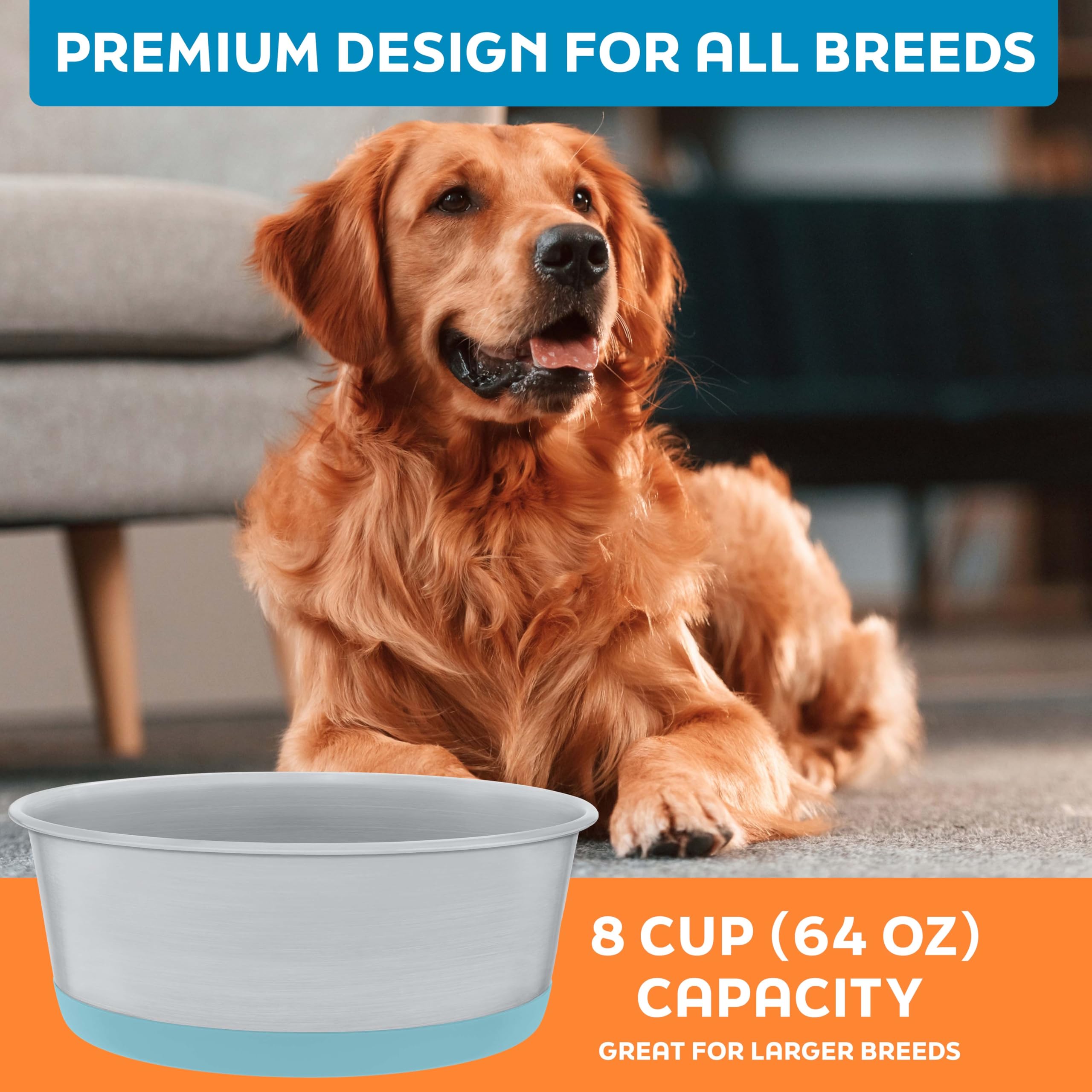 Master Pet Supply dishwasher-safe bowls simplify cleaning.