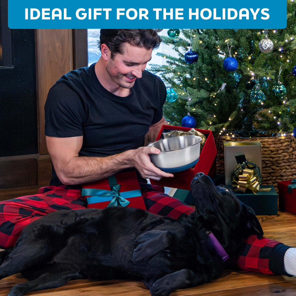 Master Pet Supply gift-ready stainless bowls for pet owners