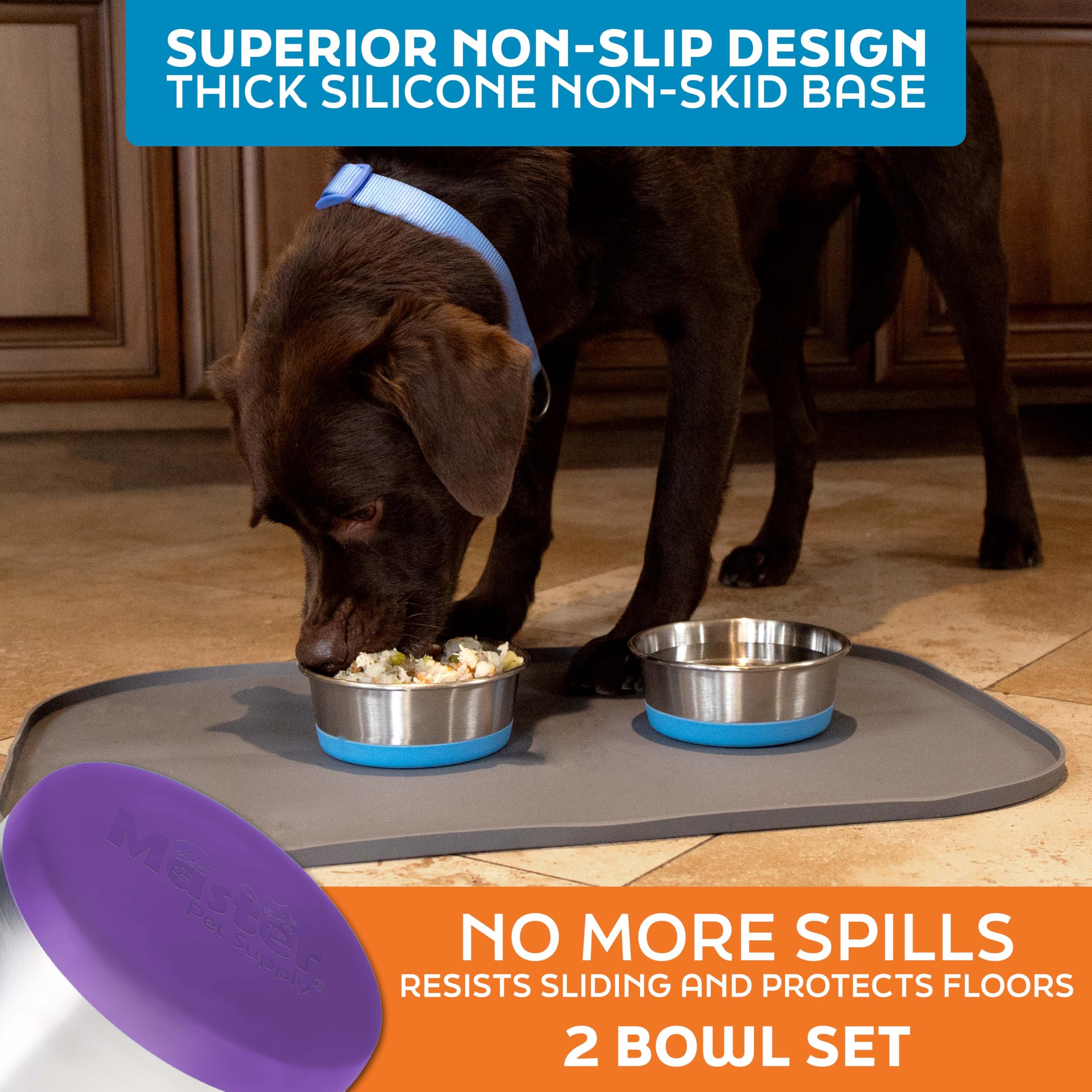 Master Pet Supply dual-bowl set supports easy portioning for pets.