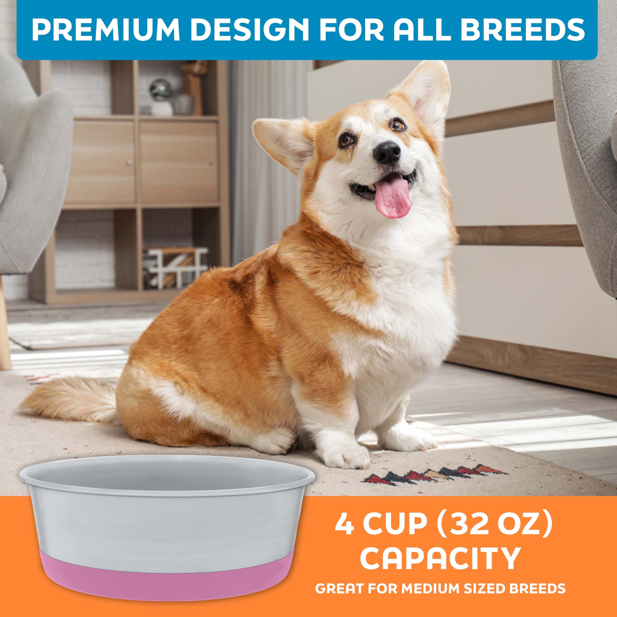 Master Pet Supply bowls suitable for indoor and outdoor feeding areas