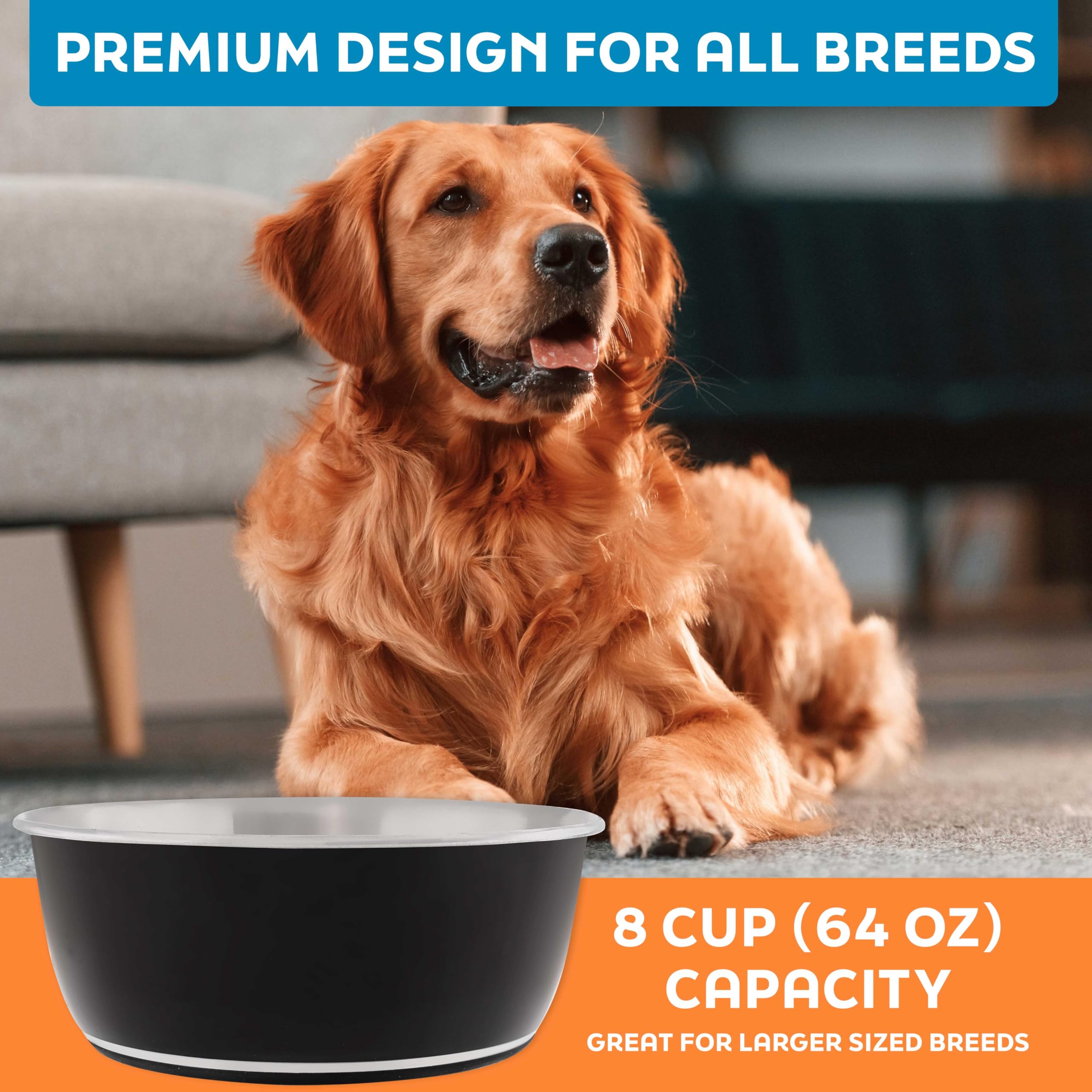 Black Velvet Master Pet Supply bowls add a sleek look