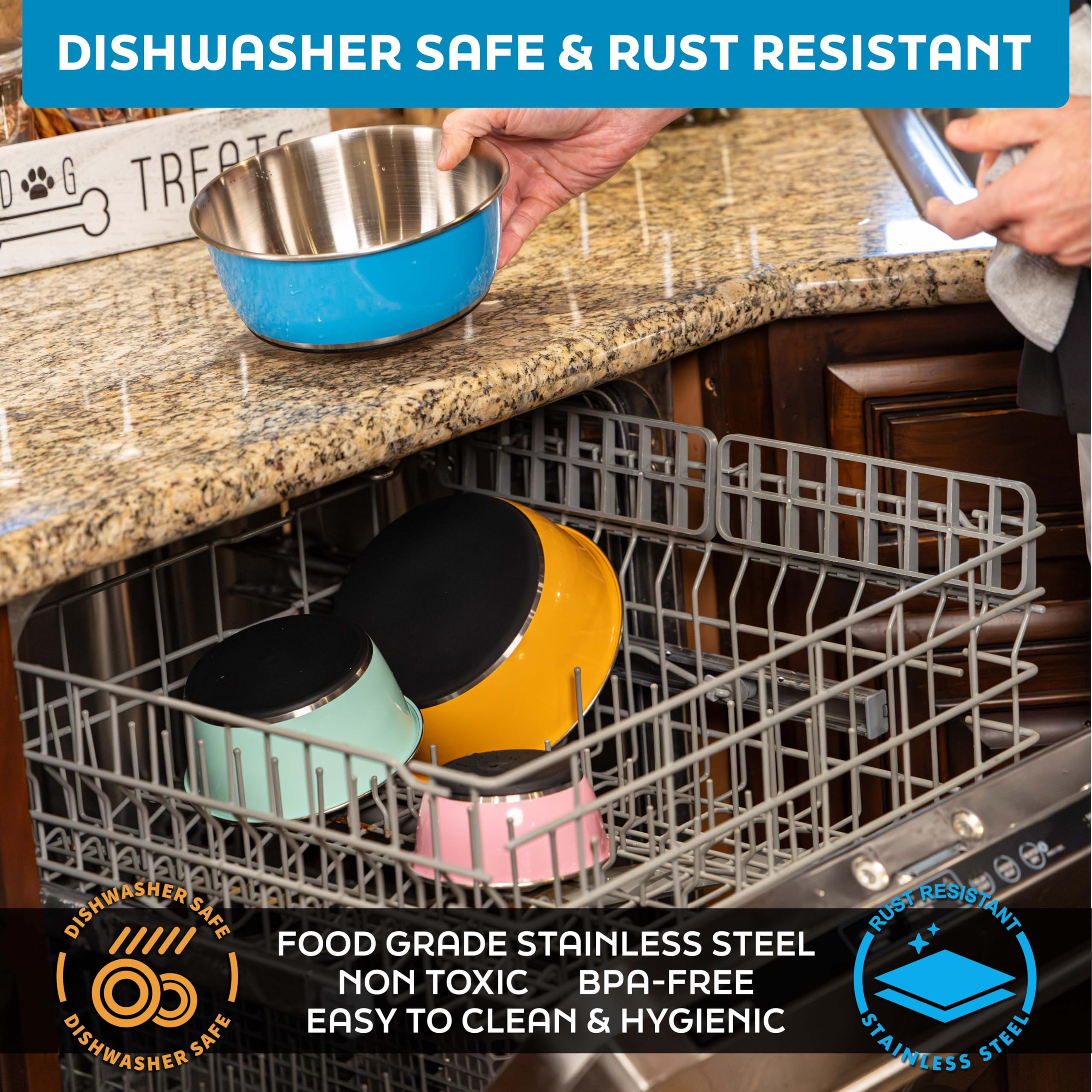 64-ounce capacity suitable for big dogs and cats with generous portions