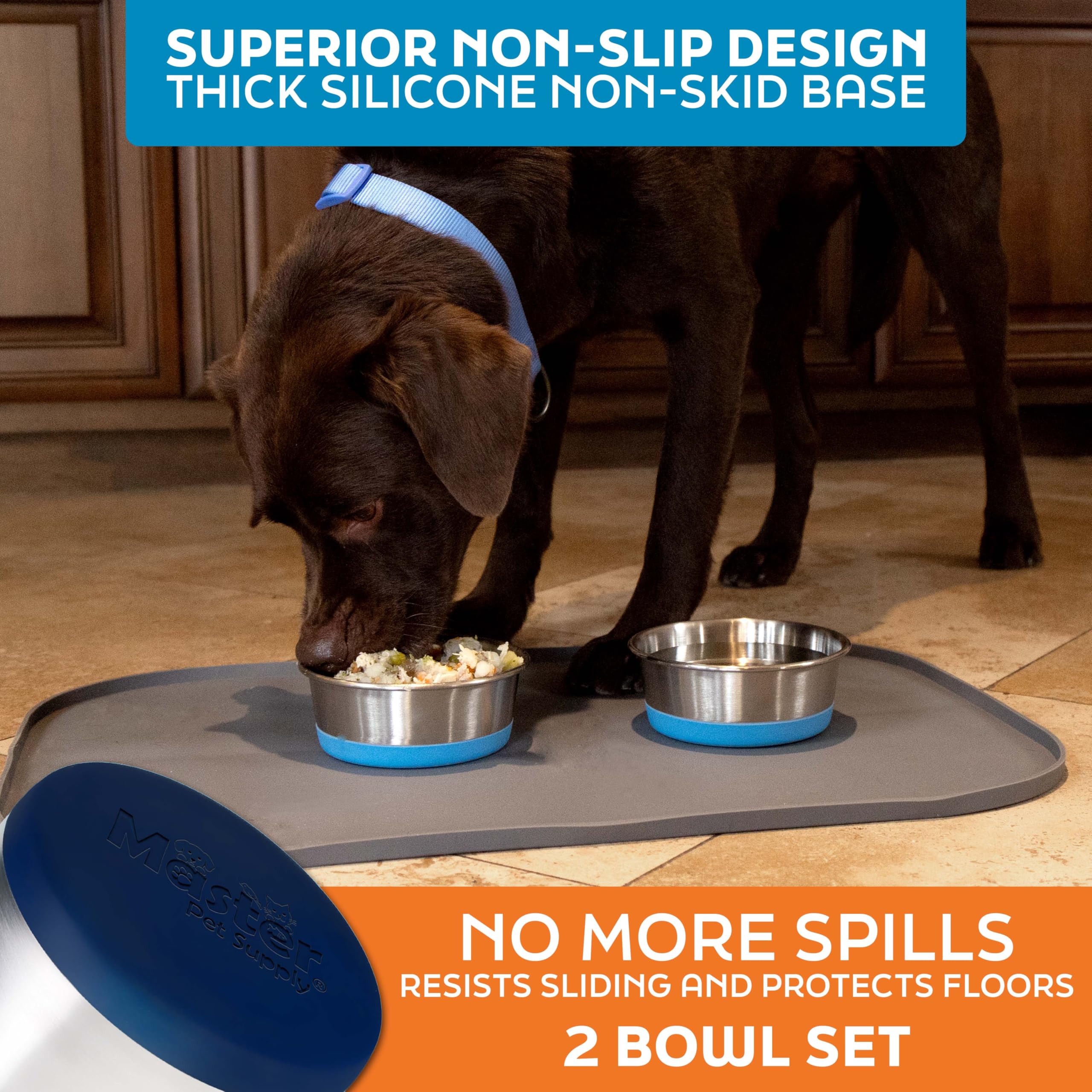 Master Pet Supply stainless steel dog food and water bowls for indoor outdoor use.