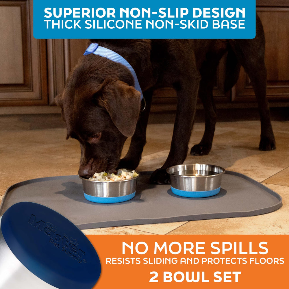 Master Pet Supply stainless steel dog food and water bowls for indoor outdoor use.