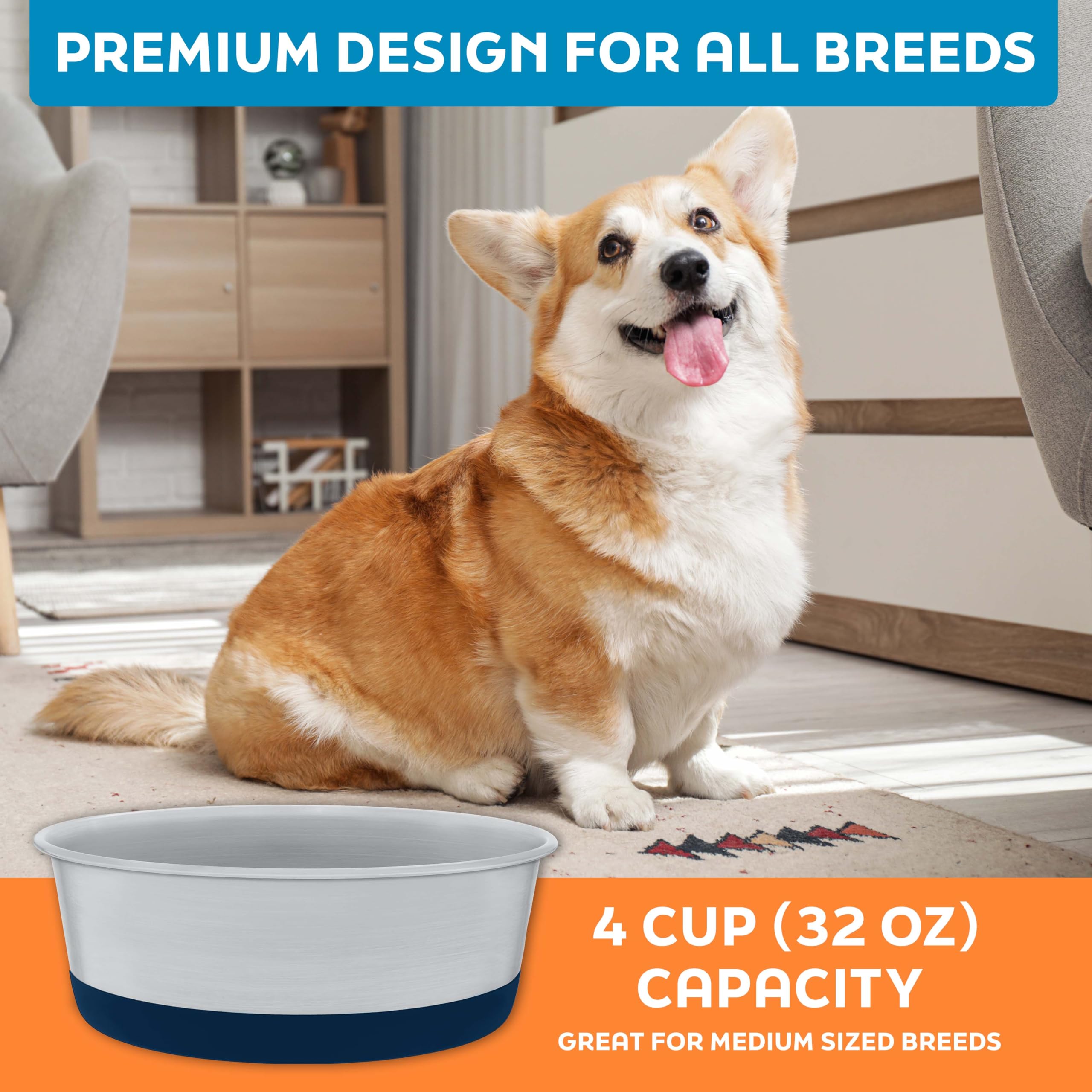 Master Pet Supply set of 2 bowls ready for multi-pet households.