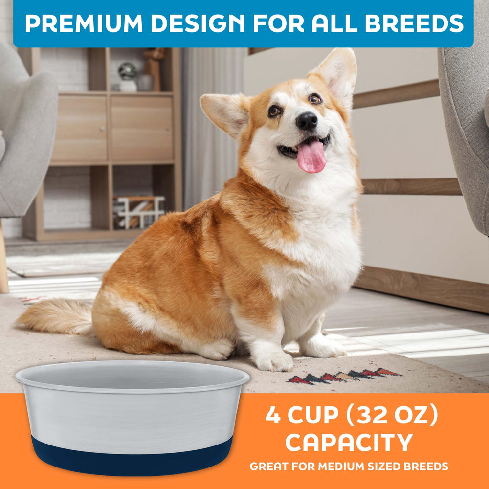 Master Pet Supply set of 2 bowls ready for multi-pet households.