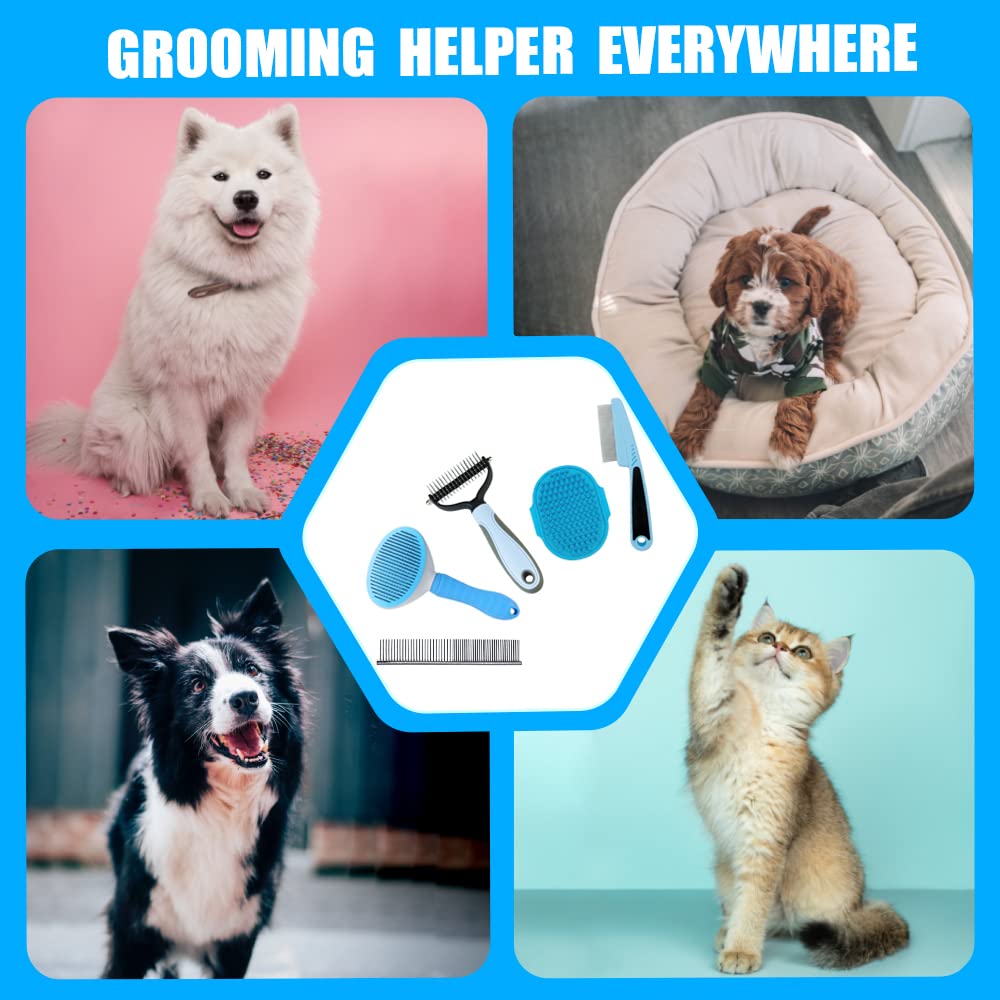 MASTER QUEEN pet grooming gift box ideal for new puppy households