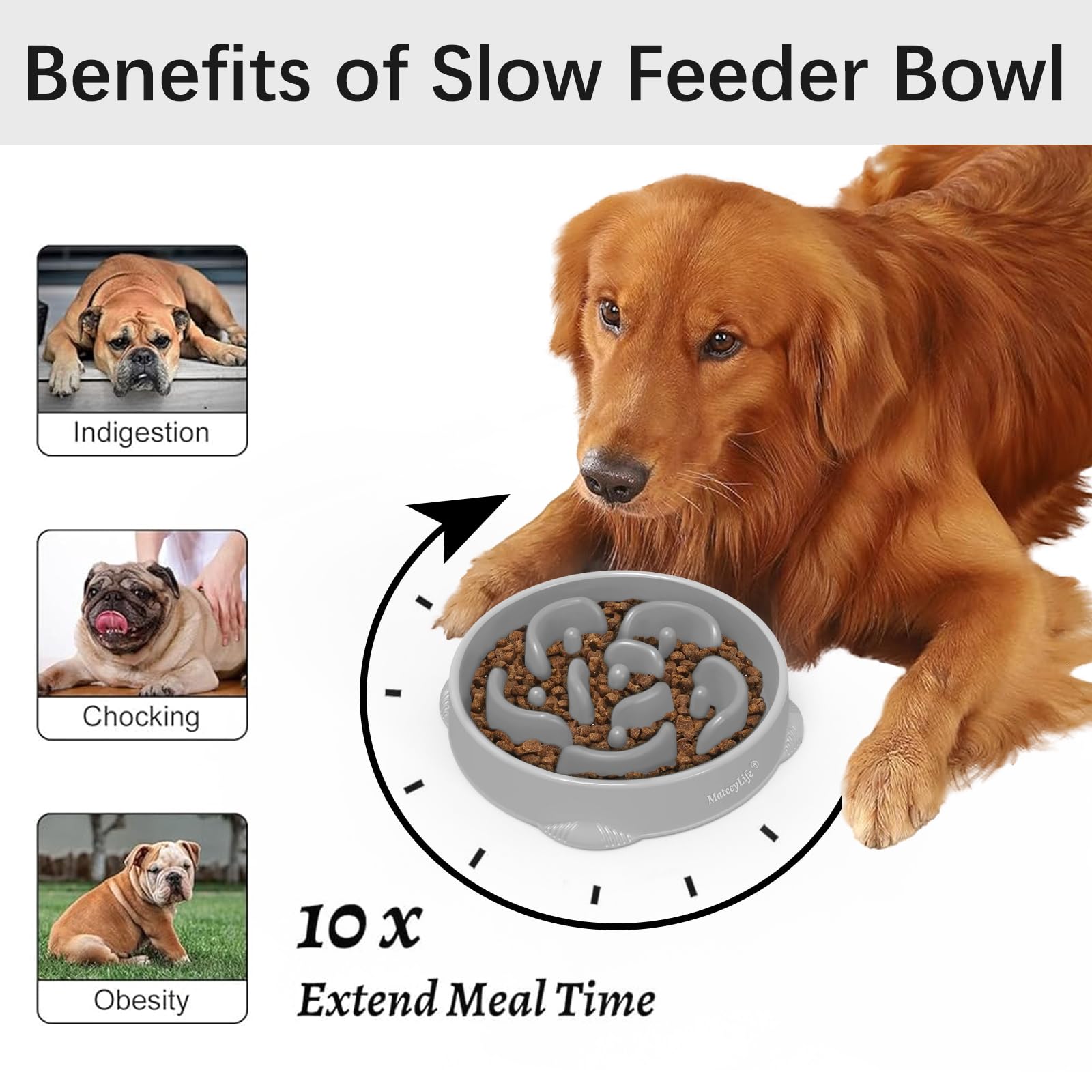 MateeyLife maze-pattern bowl engages dogs during meals, encouraging mindful chewing.