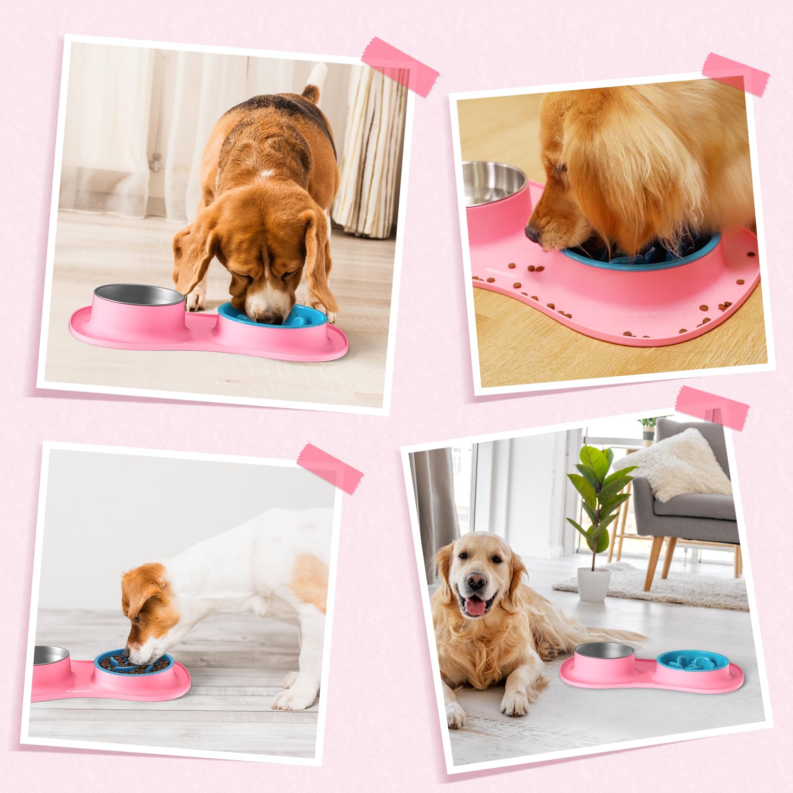 MateeyLife feeding setup suitable for pets across sizes and breeds