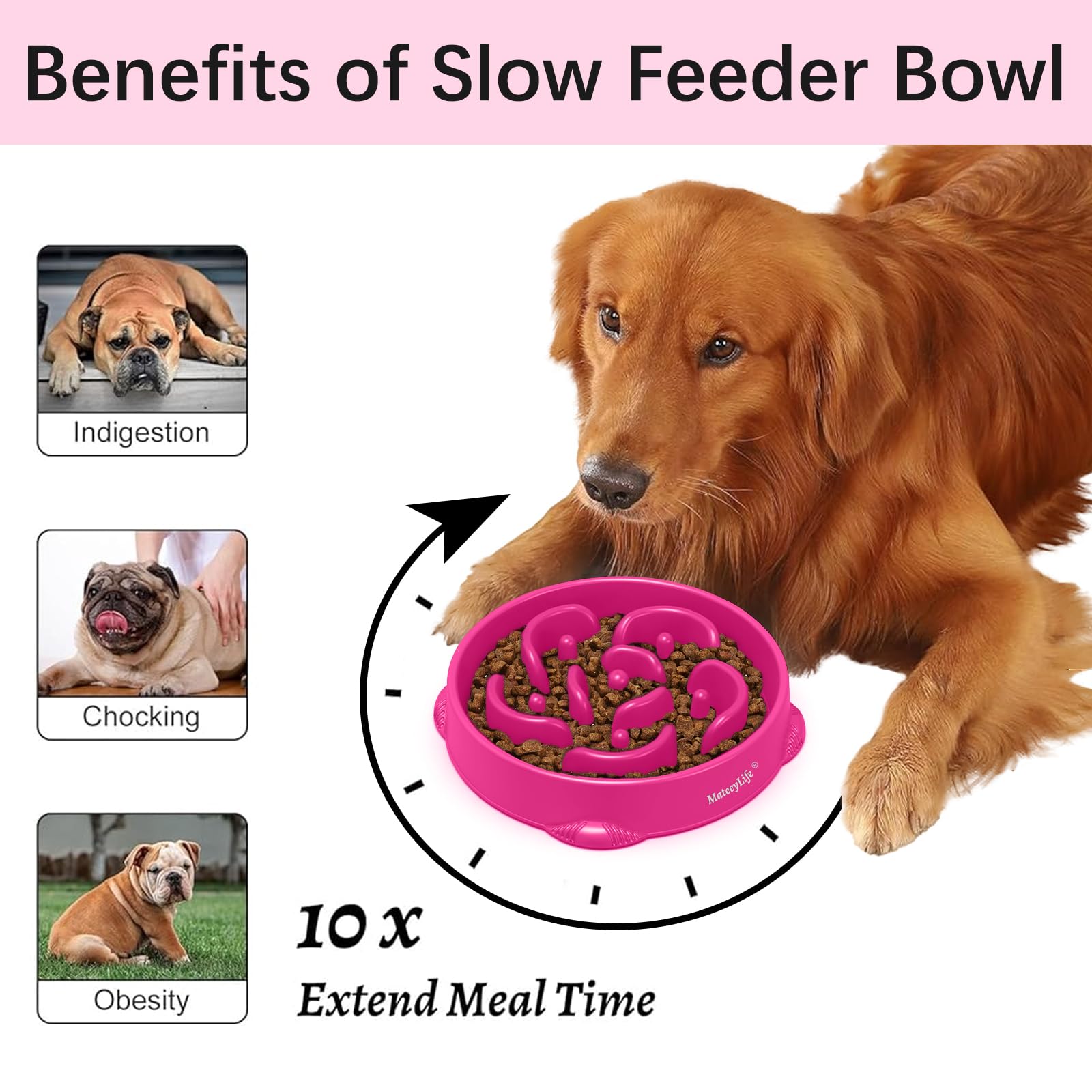 MateeyLife puzzle maze design bowl engages mealtime for dogs.