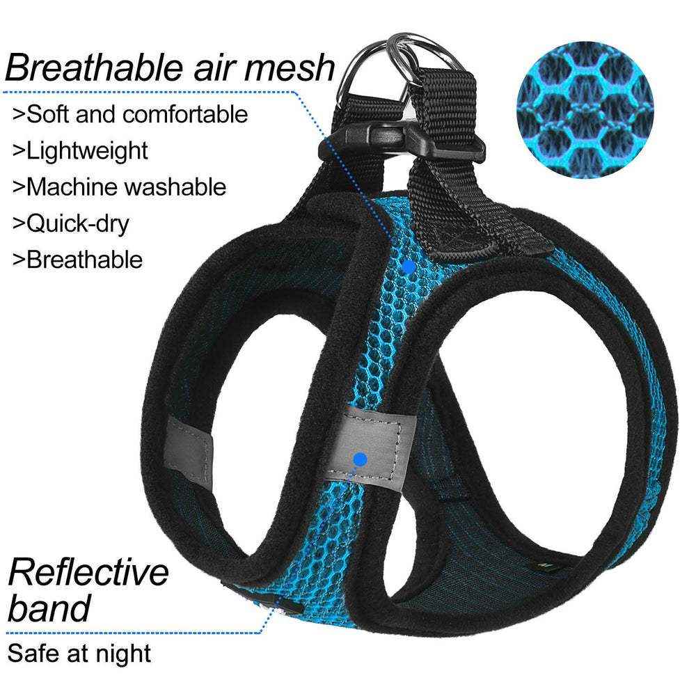 Matilor breathable air mesh harness in blue keeps dogs cool outdoors.