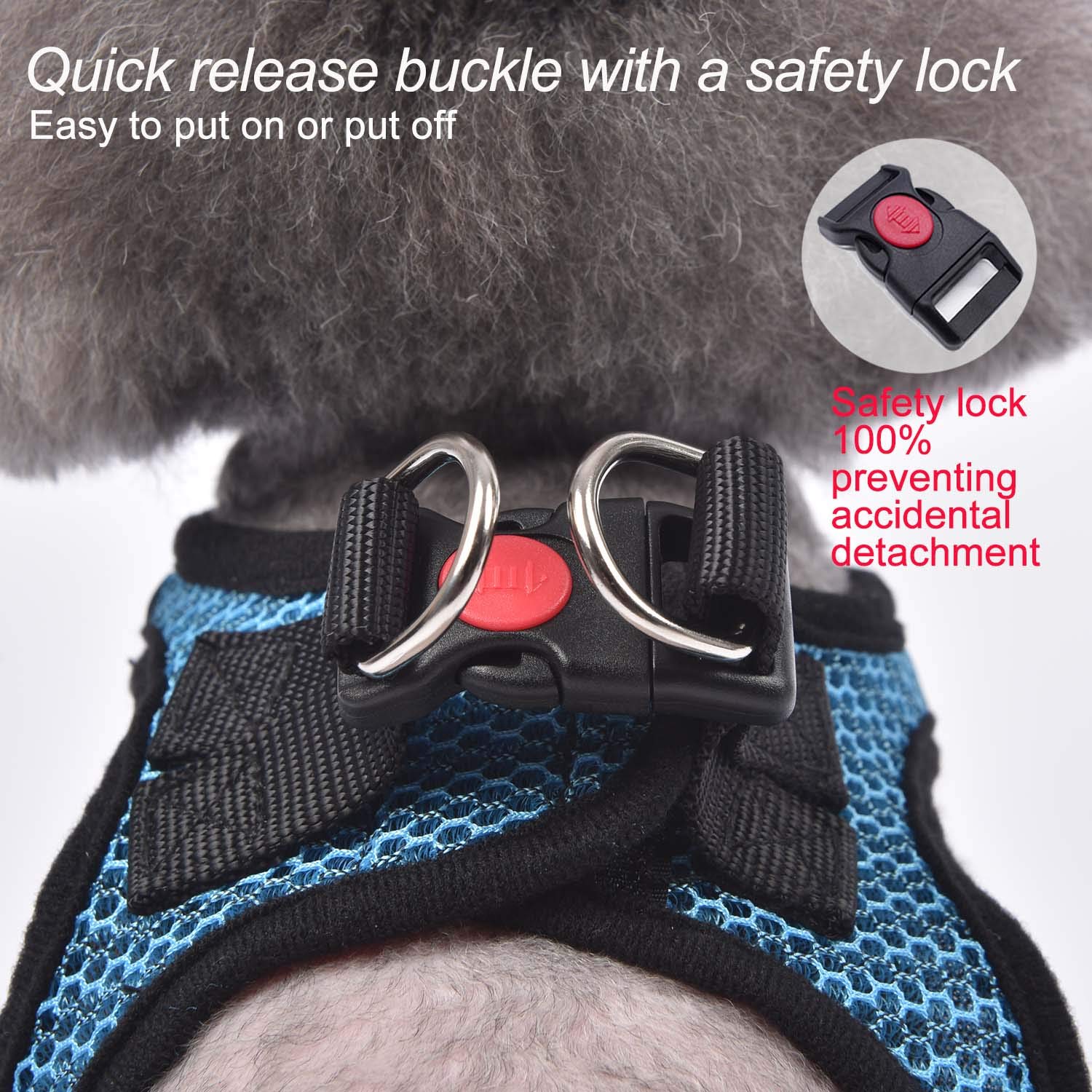 Matilor machine washable blue harness cleans quickly after outdoor use.