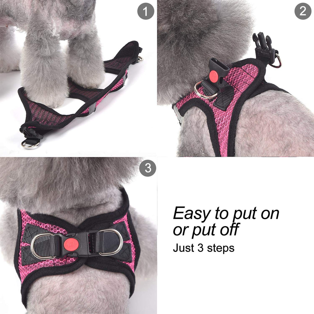 Matilor dog harness is machine washable for easy cleaning after adventures.
