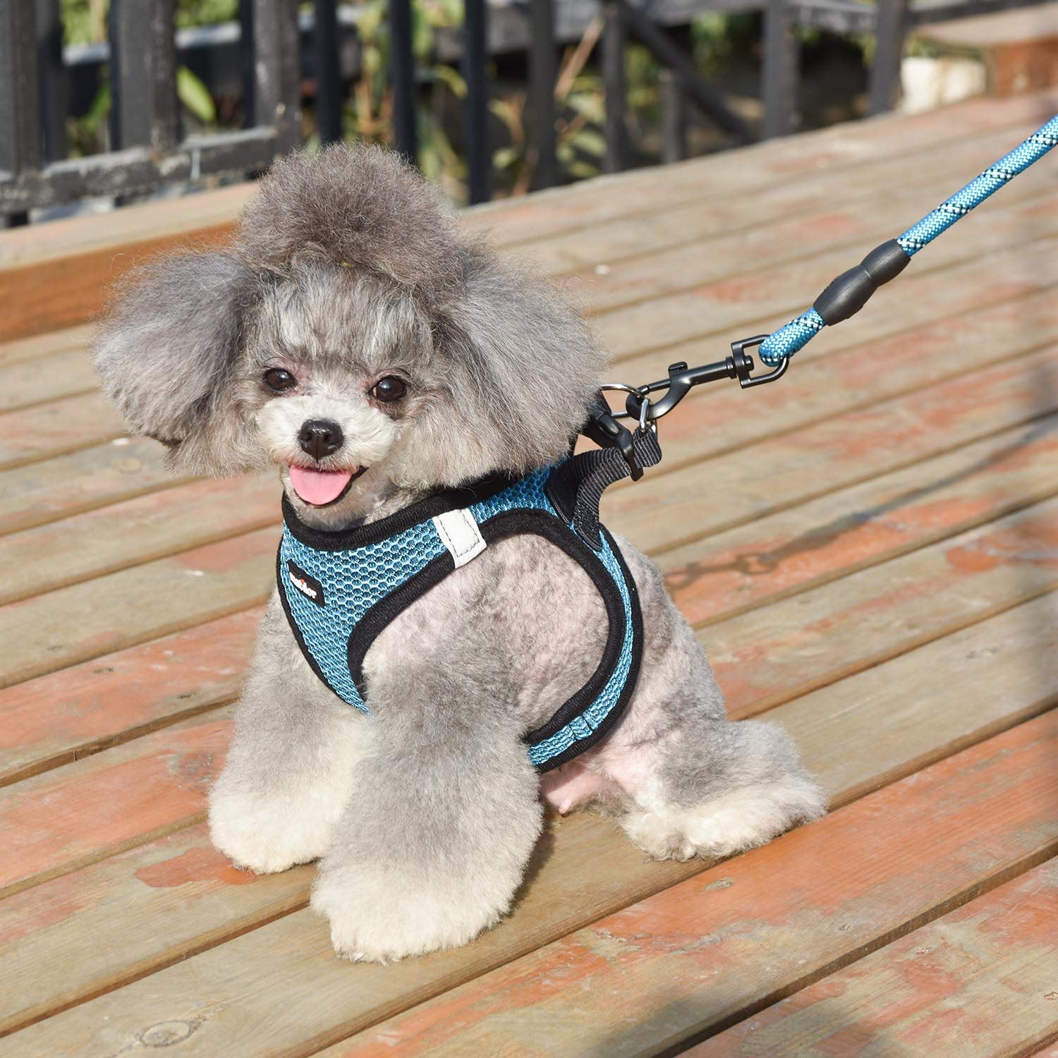 Matilor dog harness lightweight comfort designed for all-day wear.