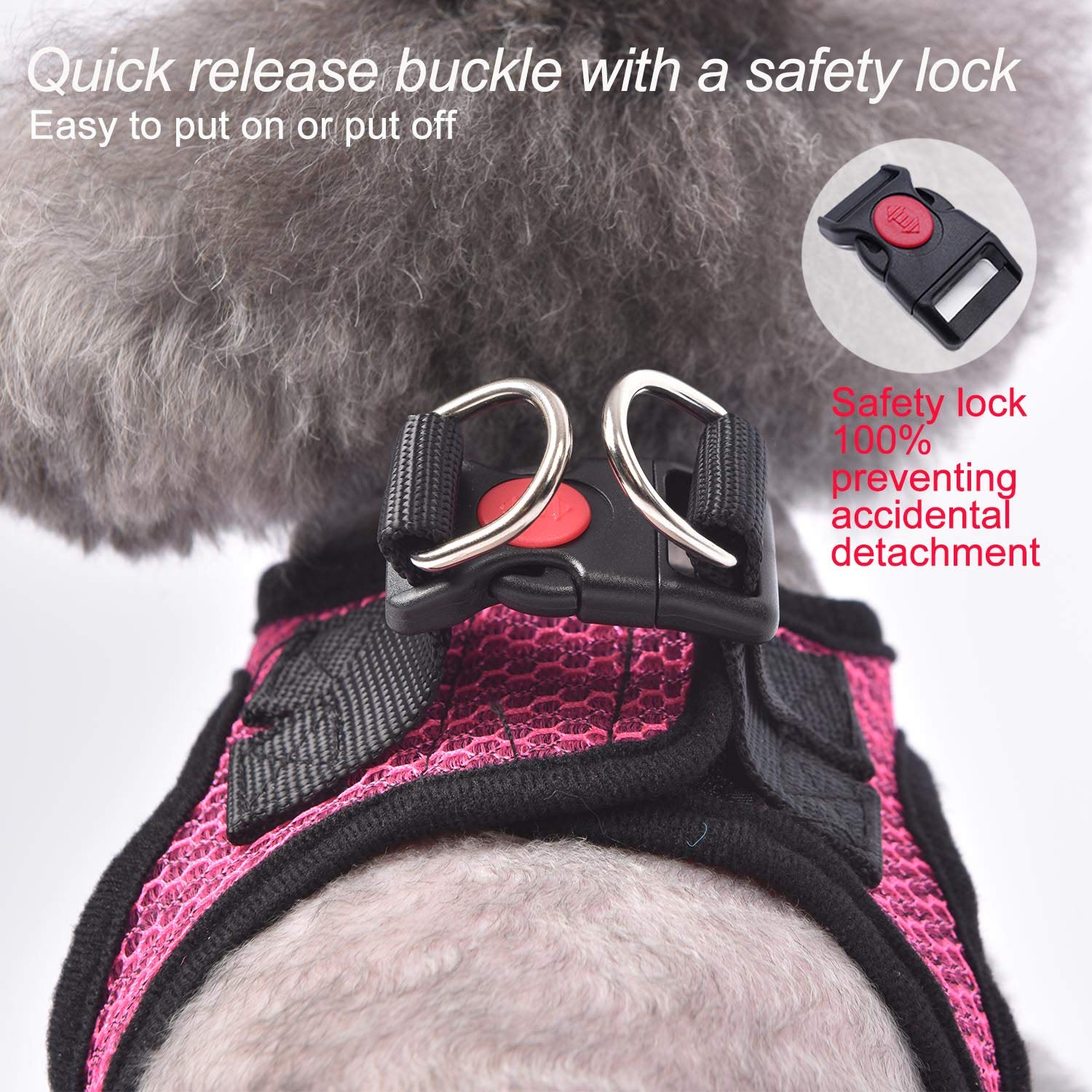 Matilor 1+1 pack includes harness and leash for great value.