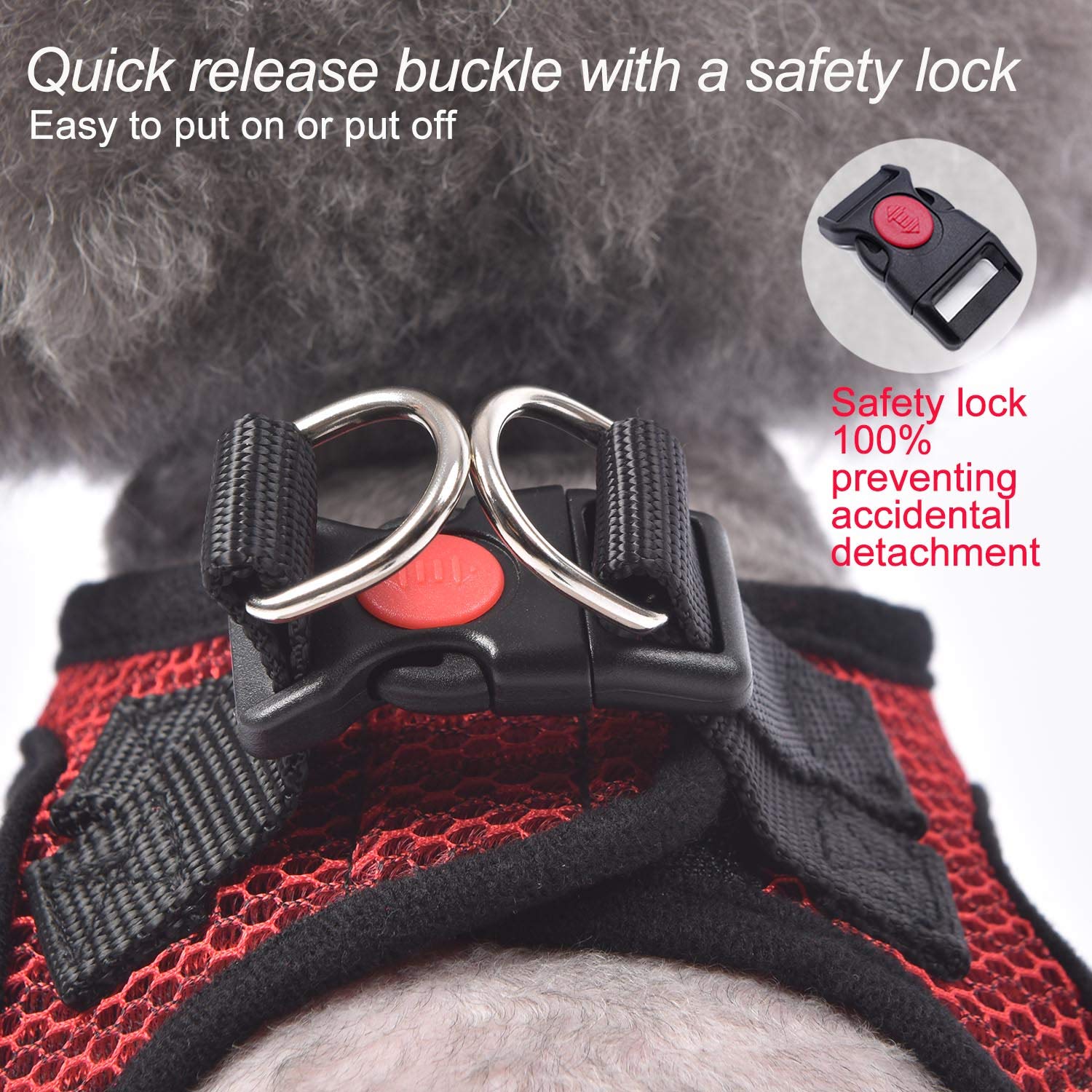 Matilor harness with included leash for convenient daily walks
