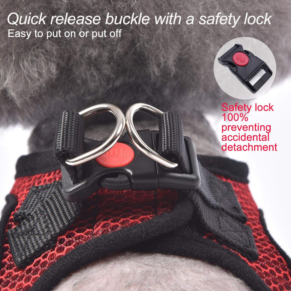 Matilor harness with included leash for convenient daily walks