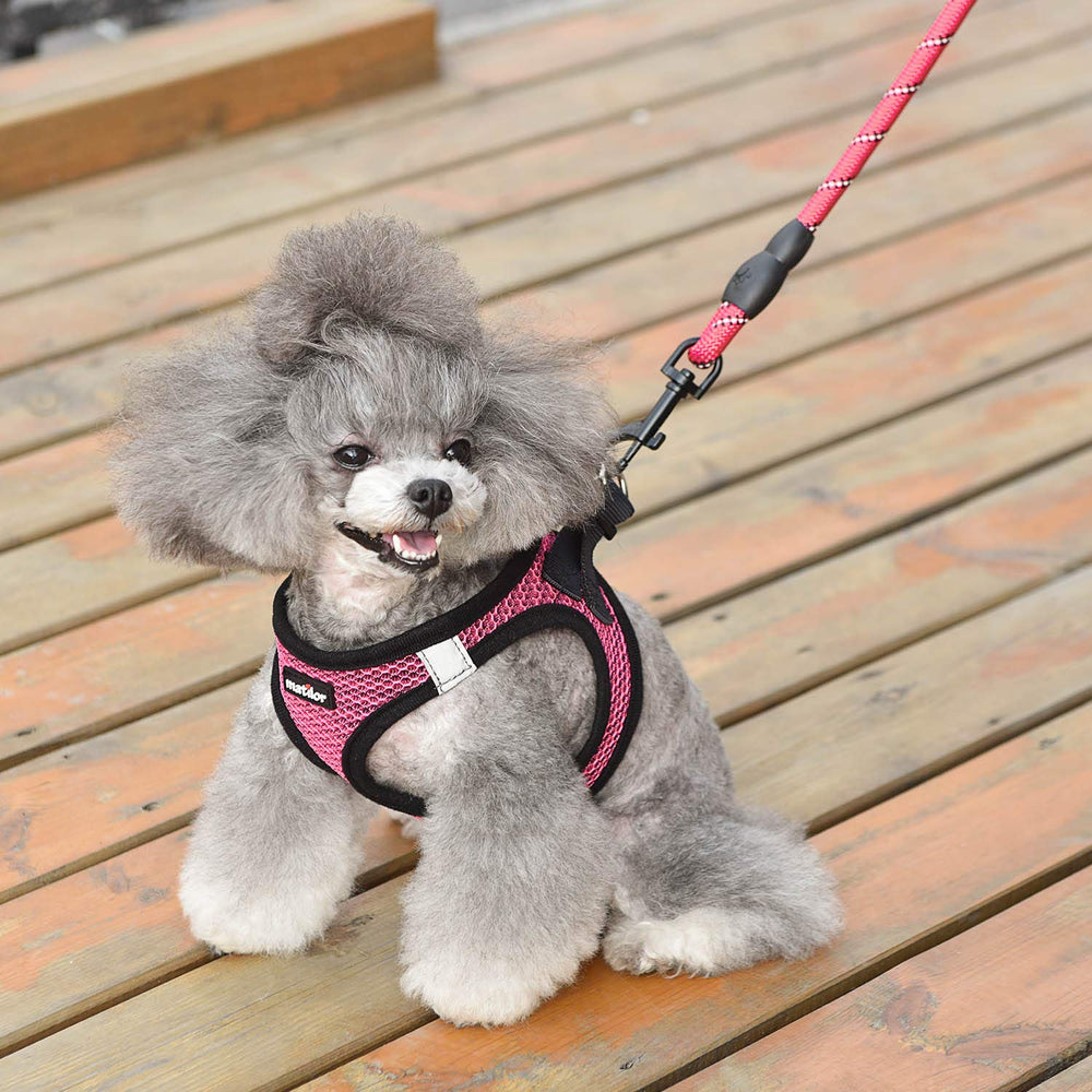 Matilor machine-washable harness simplifies post-walk cleaning.