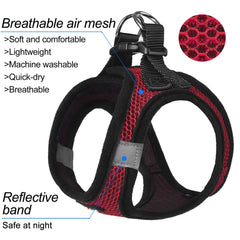 Matilor puppy harness air mesh keeps dogs cool during walks