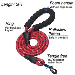 Matilor harness safety features showing double D-ring and secure buckle