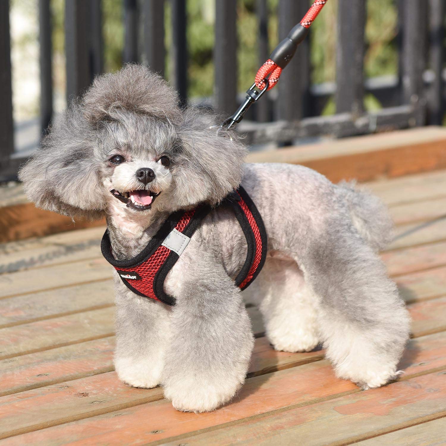 Matilor harness designed for small to medium dogs with snug vest fit