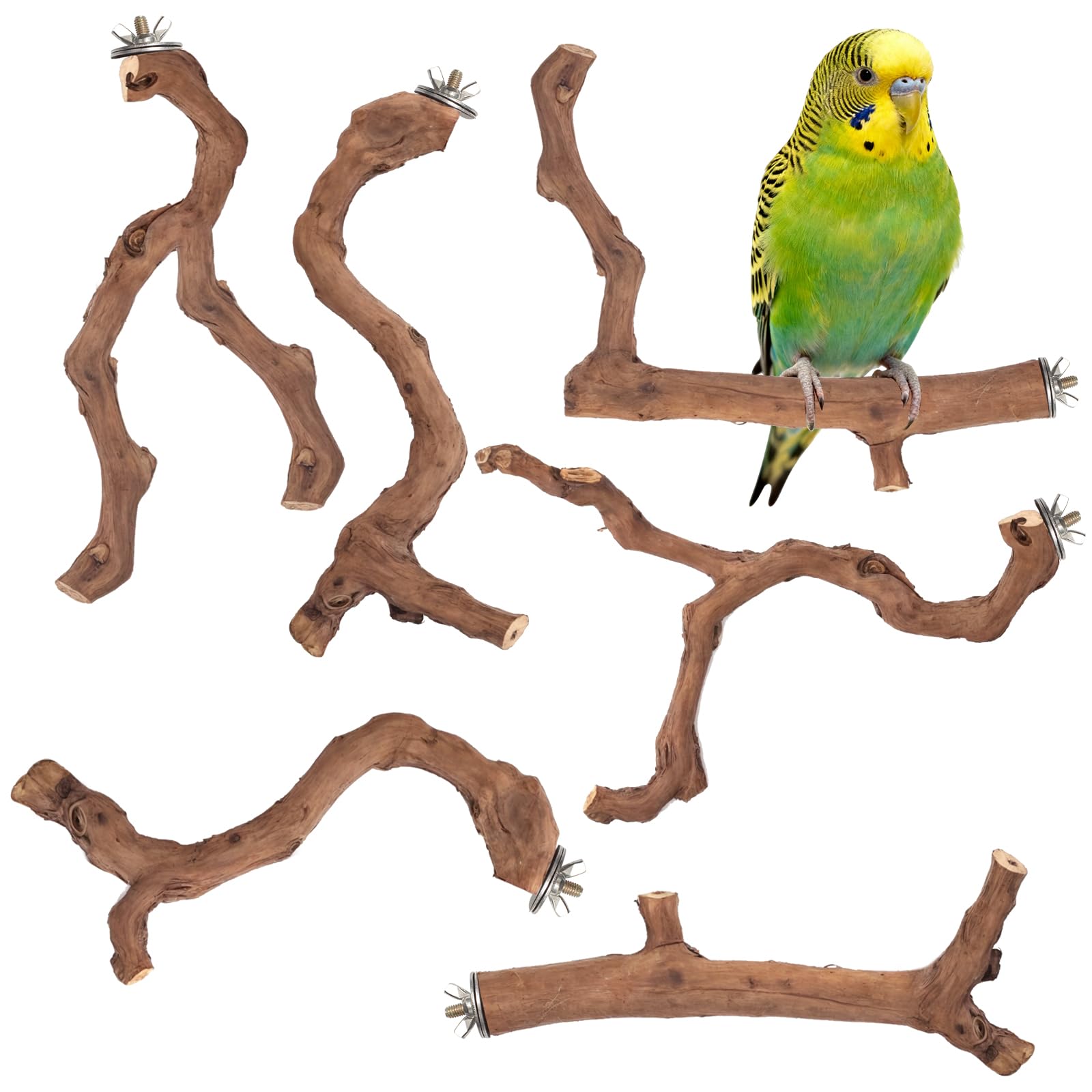 Matutinus 6-piece perch stand with natural grape wood for safe bird perching