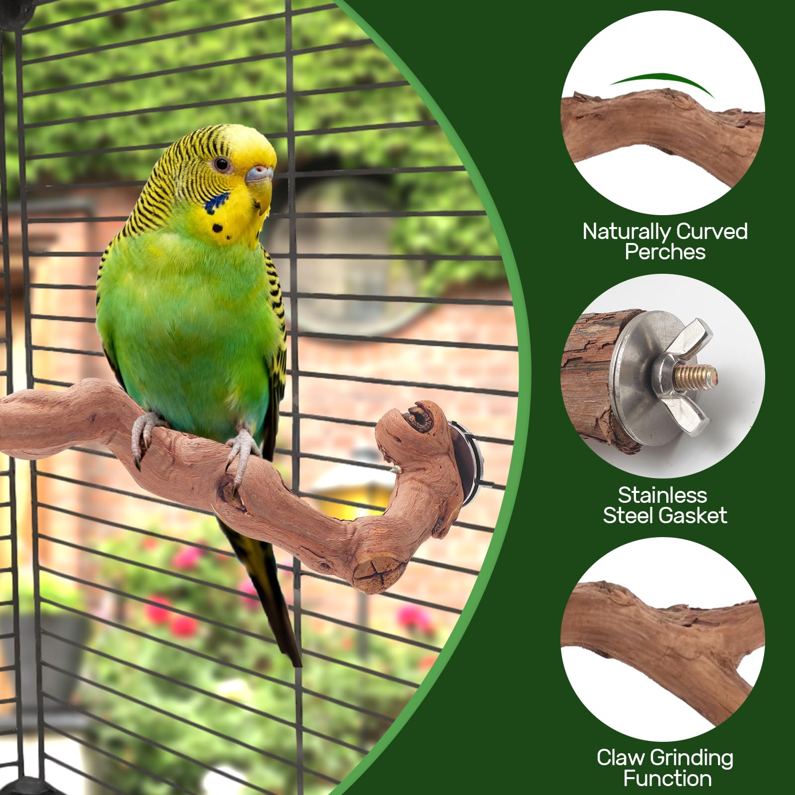 Matutinus bird cage accessory perch suitable for parakeets and budgies