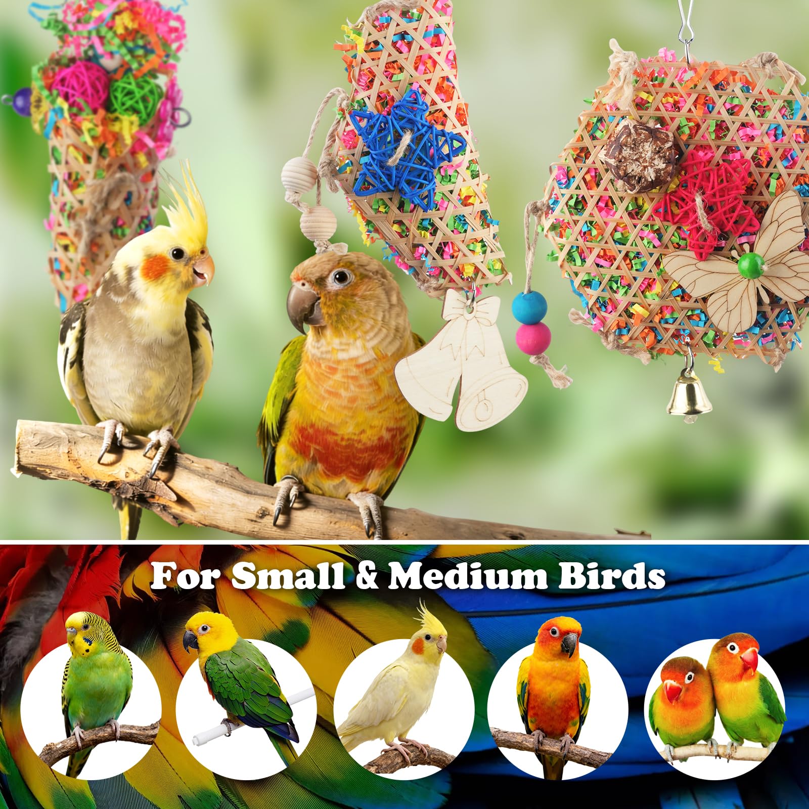 Matutinus small parrots using toy across cockatiels and budgies