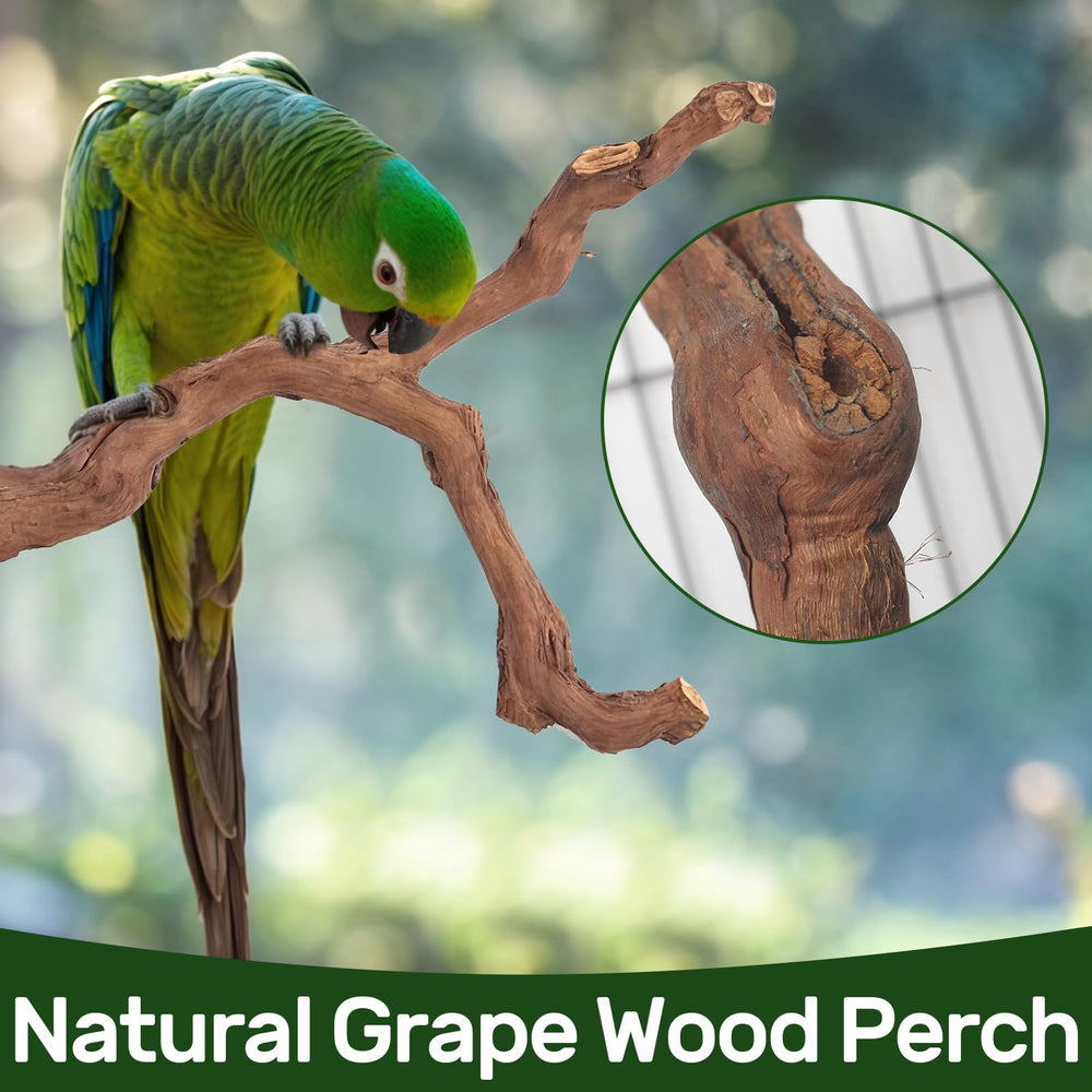 Matutinus paw grinding fork to promote beak exercise and enrichment