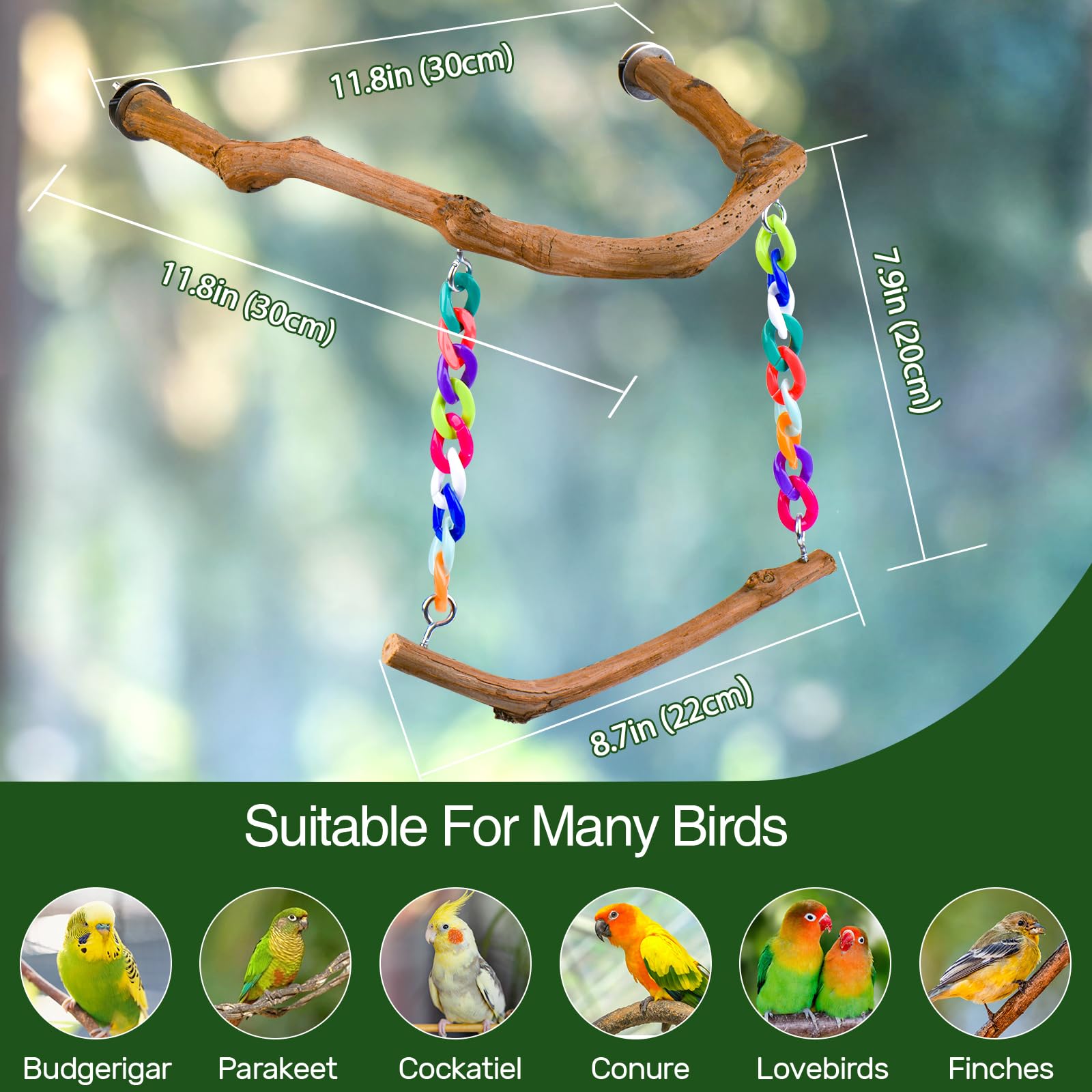 Matutinus suitable for budgerigars, parakeets, cockatiels and other small birds