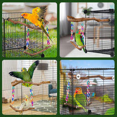 Matutinus standing perch in grape wood enhances bird observation and rest