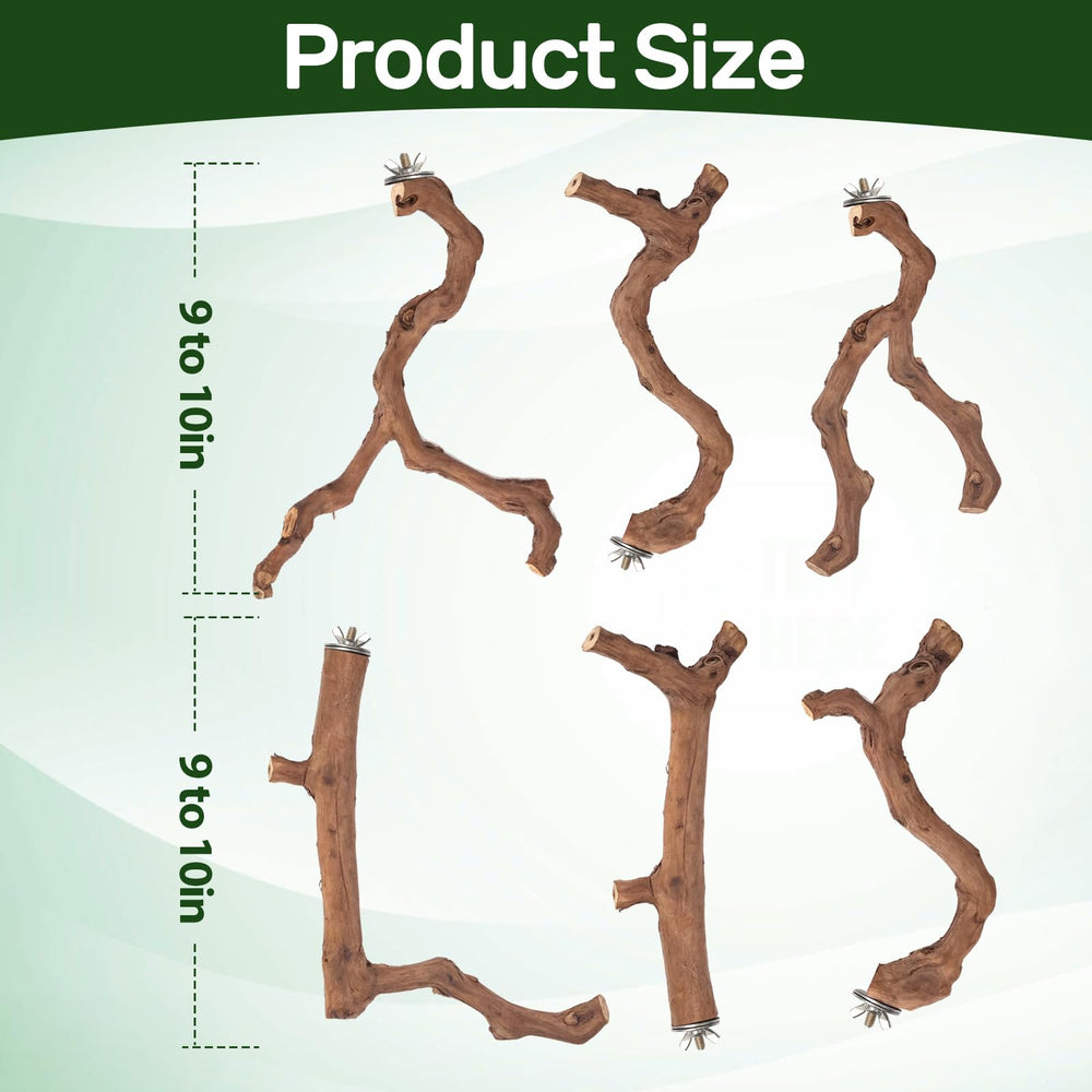 Matutinus perches feature varied branch diameters for exercise and exploration