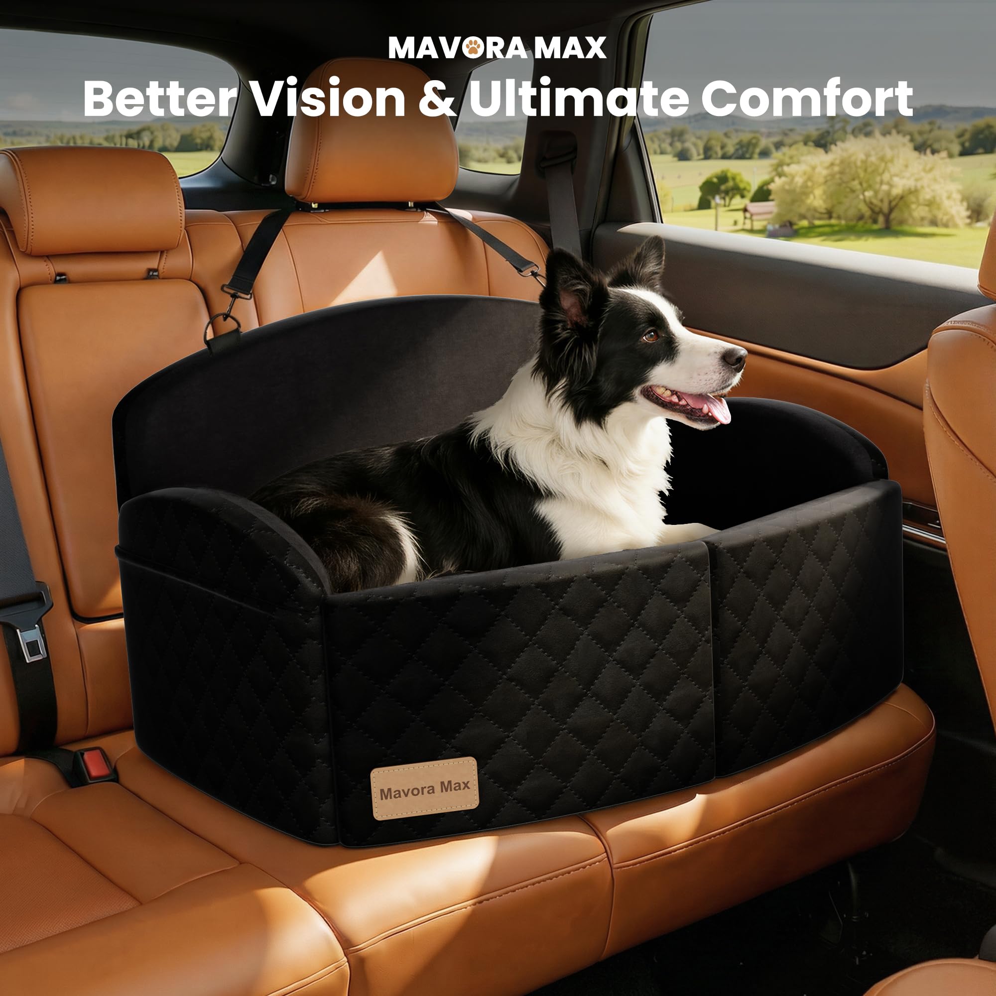 Mavora Max secure anchoring showing seatbelt and top strap for safety.