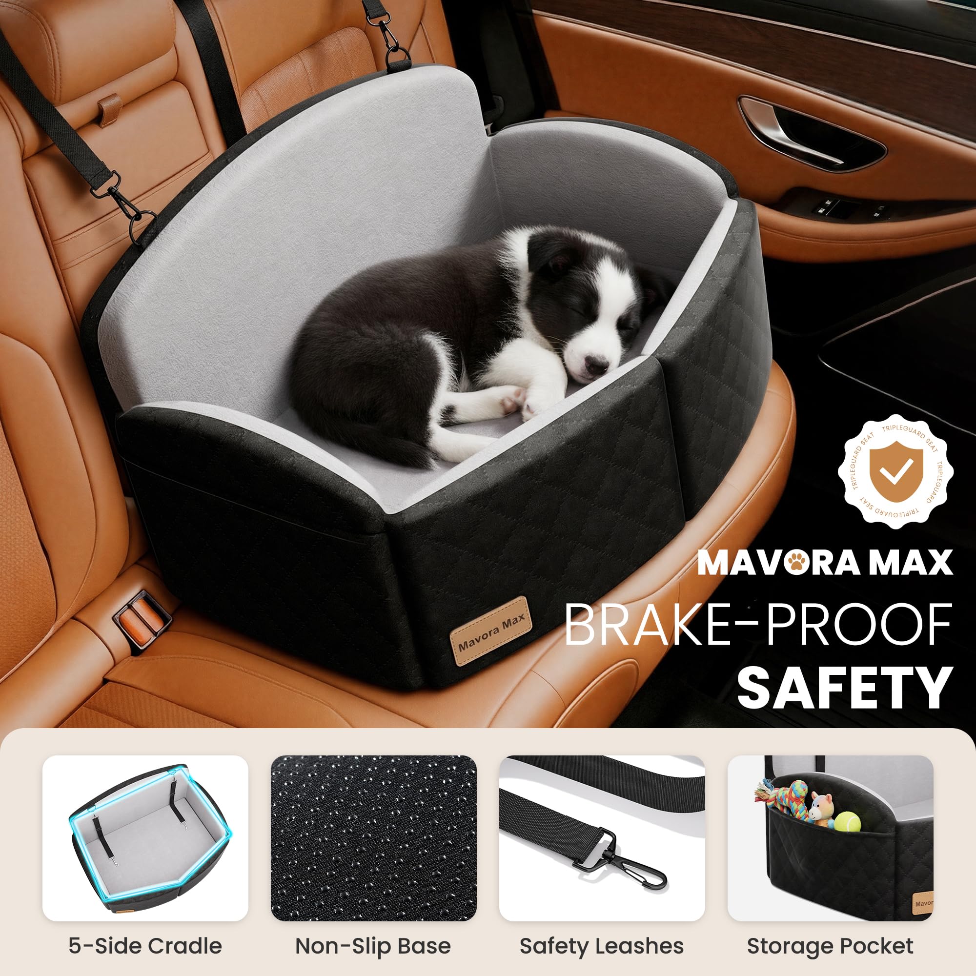 Mavora Max elevated view demonstrates improved window visibility for dogs