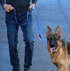 Max and Neo donation program explains 1-for-1 leash donations to rescues.