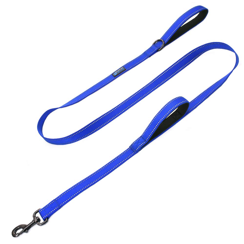 Max and Neo double handle leash with reflective stitching for better night visibility