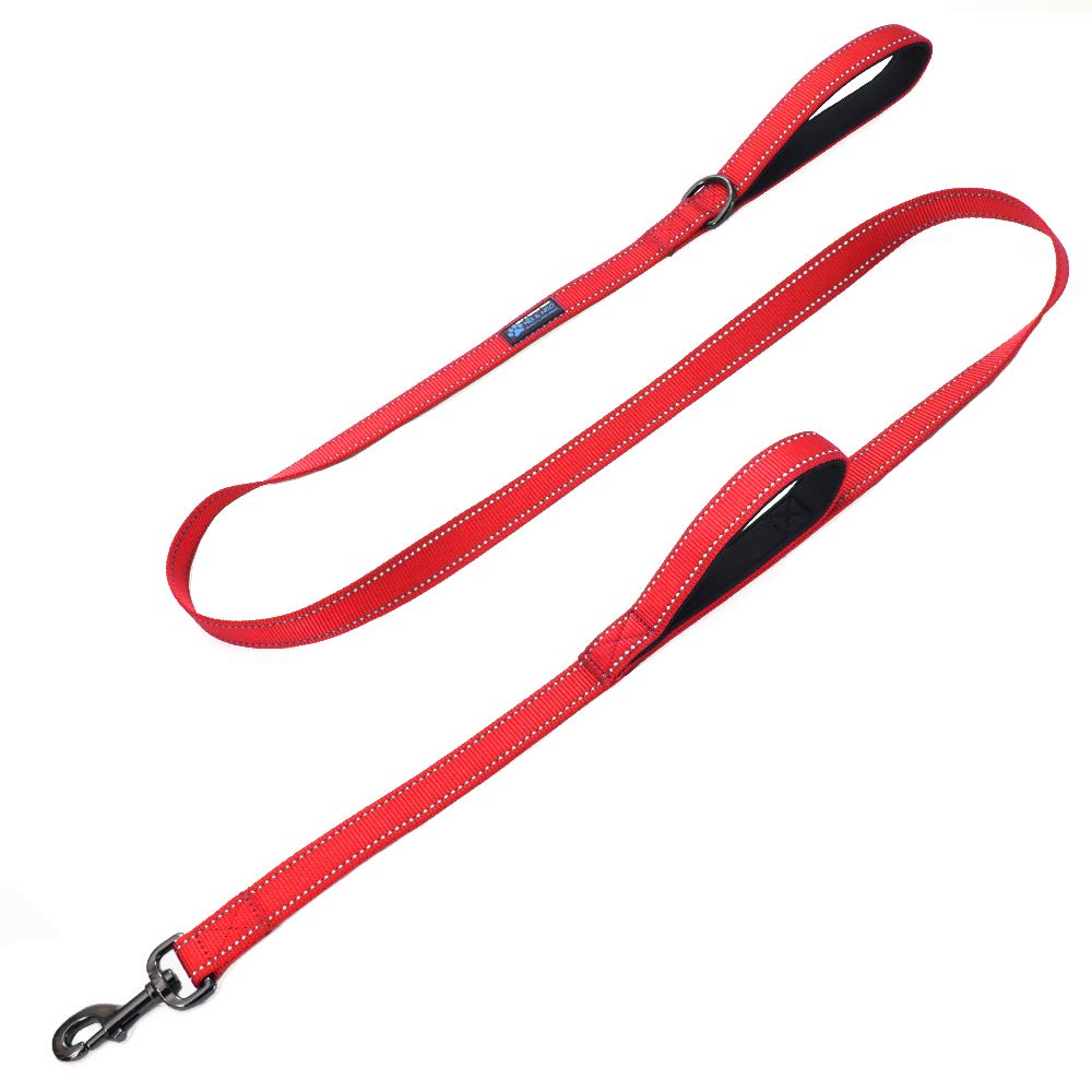 Max and Neo double-handle traffic leash with reflective stitching for safer night walks.