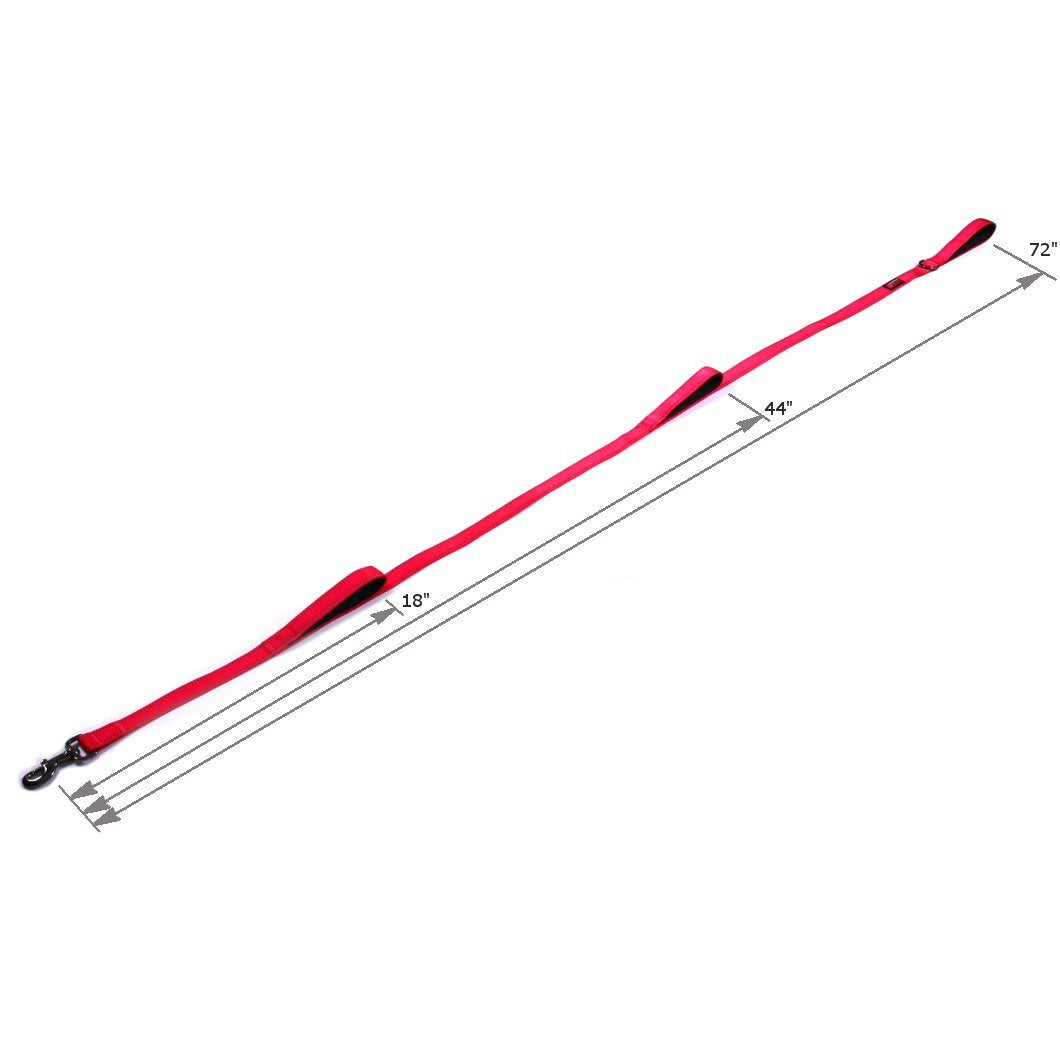 Max and Neo padded handles leash for close control during busy sidewalks.