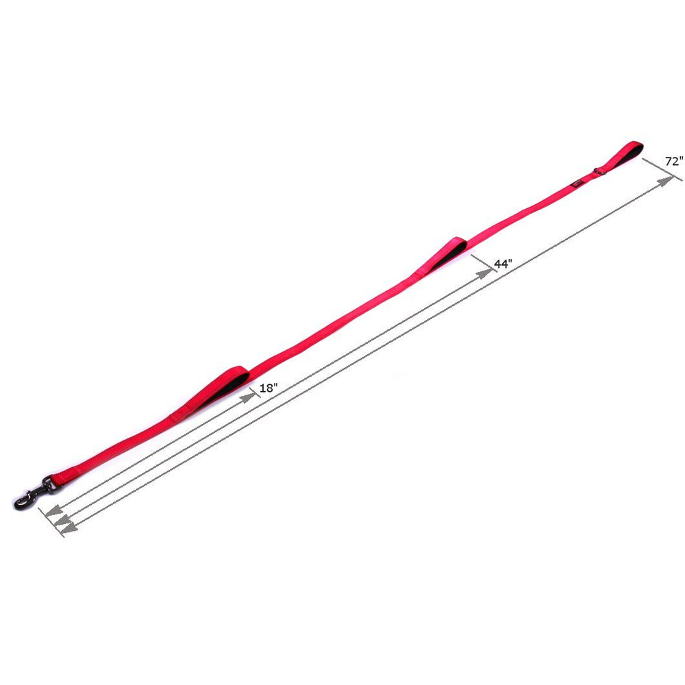 Max and Neo padded handles leash for close control during busy sidewalks.