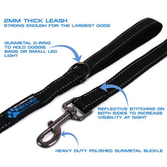 Max and Neo leash features reflective stitching to boost visibility during evening walks.