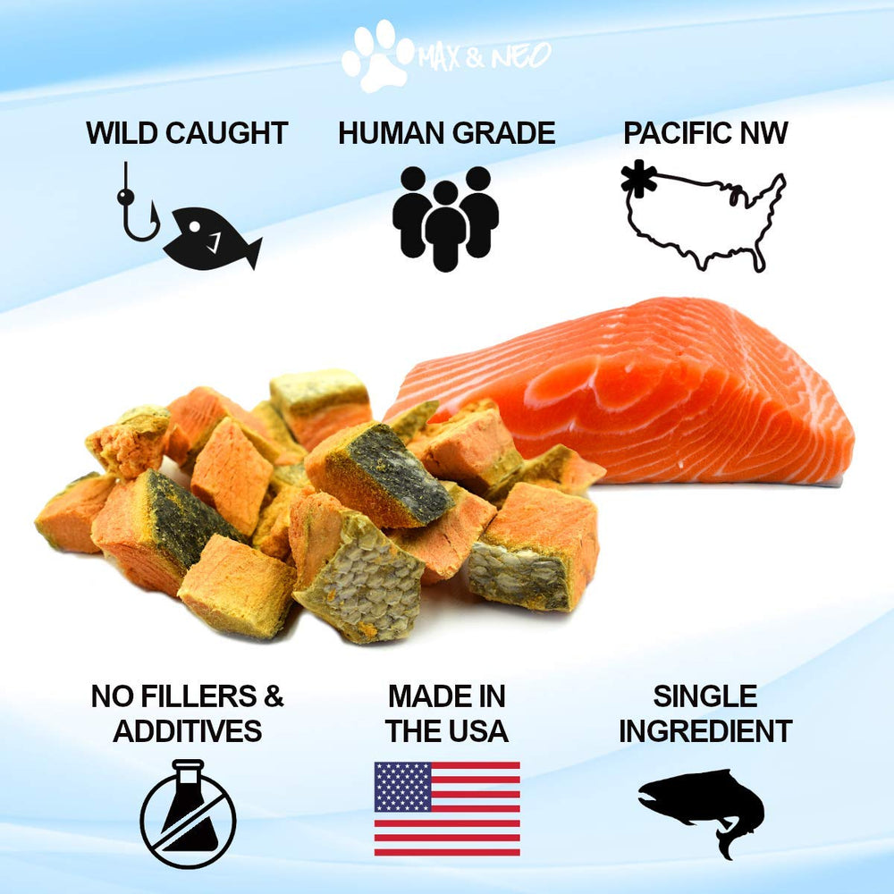 Max and Neo single-ingredient salmon close-up shows natural protein for dogs