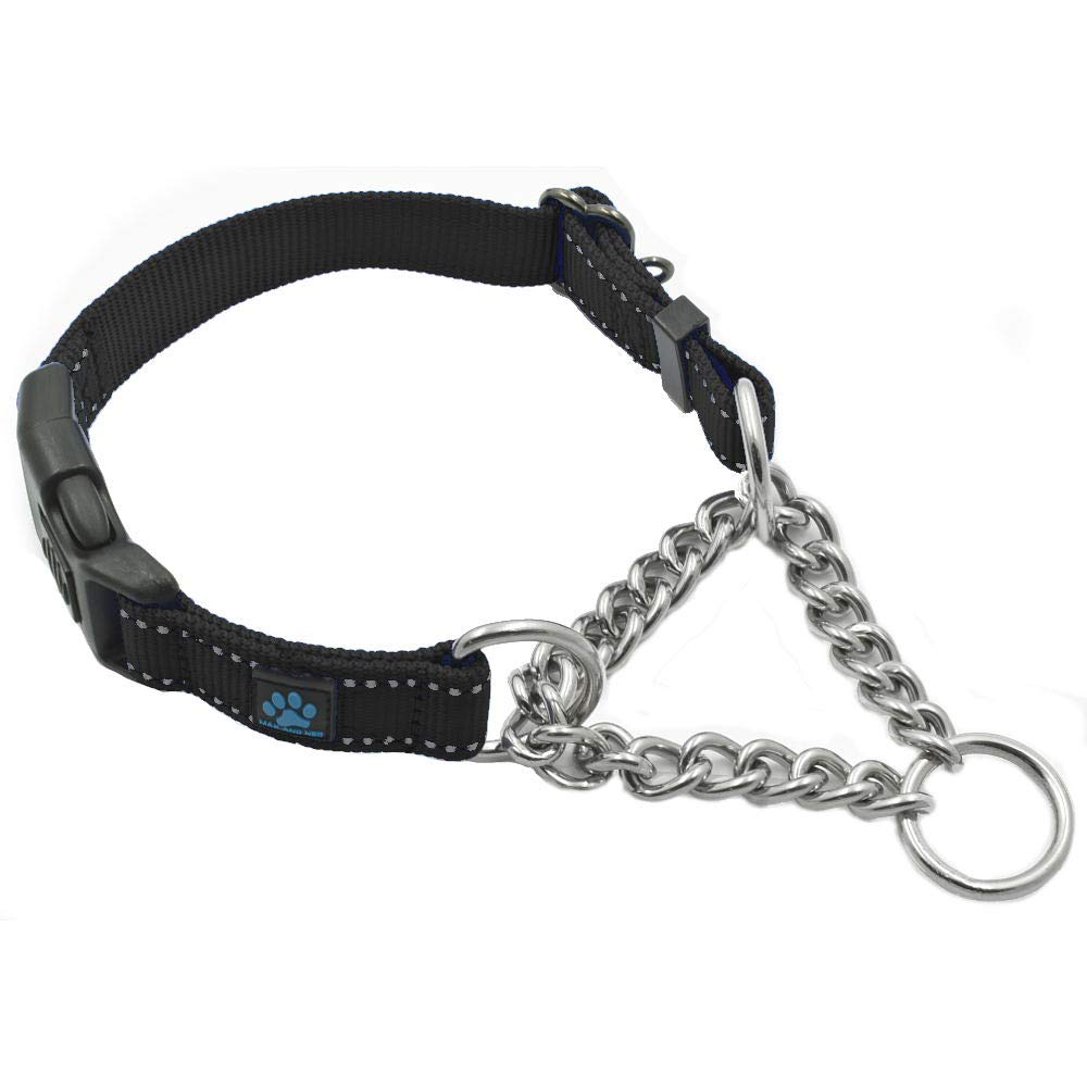 Max and Neo stainless steel chain martingale collar closeup showing durable hardware for daily walking
